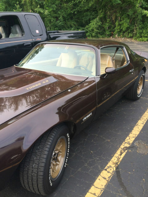 1981 Pontiac Firebird - photo 3