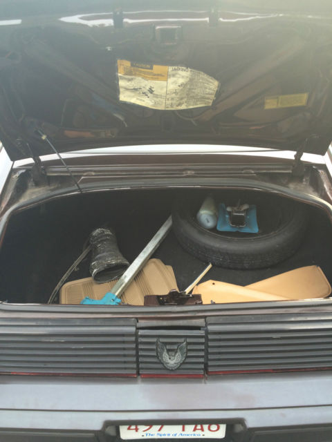 1981 Pontiac Firebird - photo 4