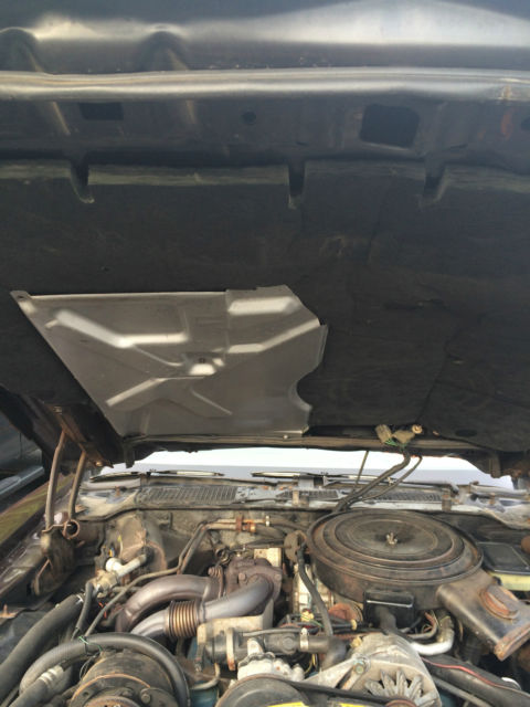 1981 Pontiac Firebird - photo 6