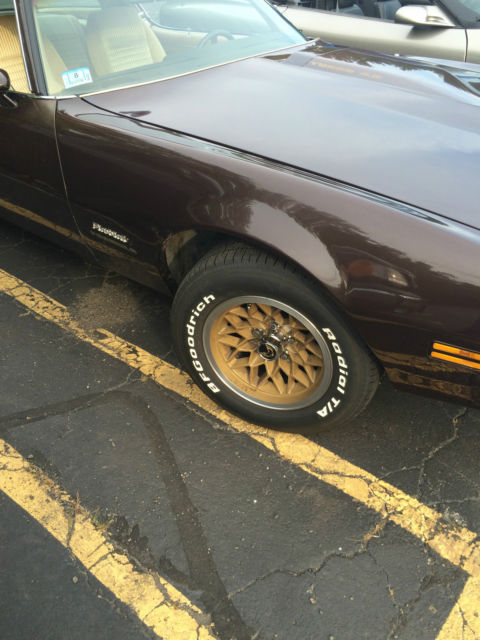1981 Pontiac Firebird - photo 8