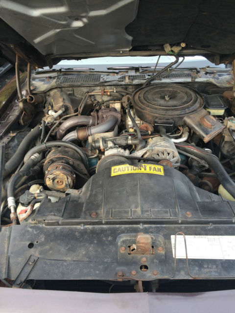 1981 Pontiac Firebird - photo 9