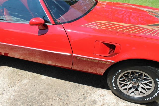 1981 Pontiac Trans Am Deluxe - photo 11