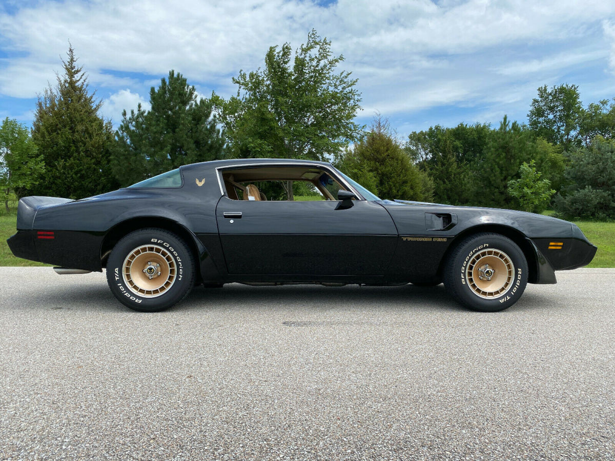 1981 Pontiac Trans Am 301ci - V8, Turbo Charged, WS6, PHS, 77K miles - photo 10