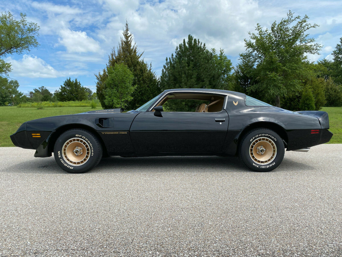 1981 Pontiac Trans Am 301ci - V8, Turbo Charged, WS6, PHS, 77K miles - photo 12