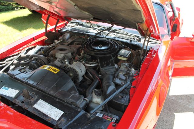 1981 Pontiac Trans Am Deluxe - photo 4