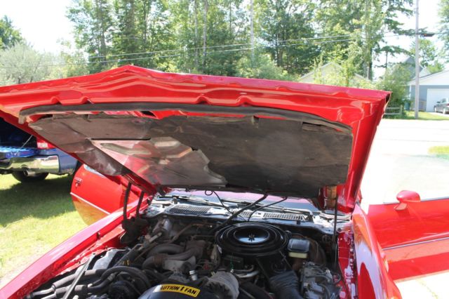 1981 Pontiac Trans Am Deluxe - photo 6