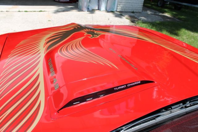 1981 Pontiac Trans Am Deluxe - photo 7