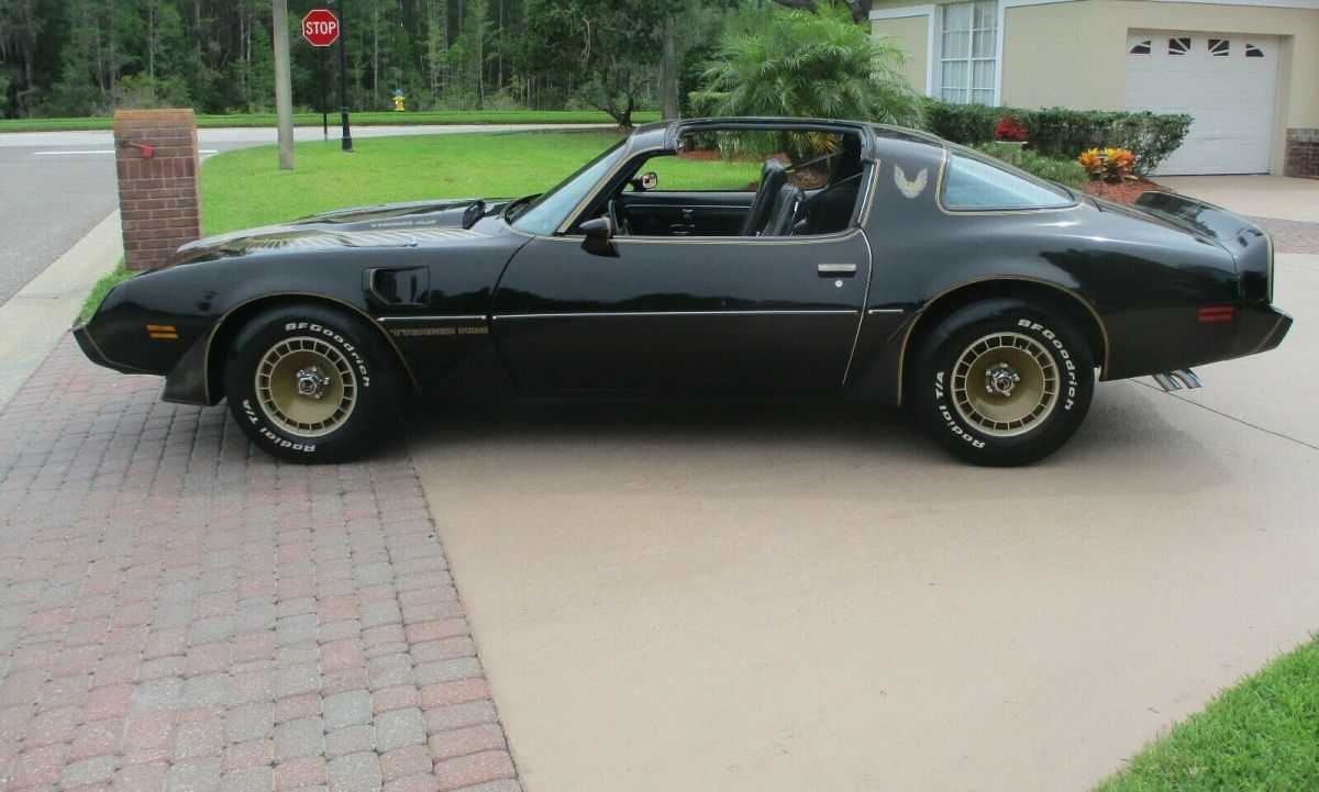 1981 TURBO TRANS AM BANDIT LIKE NEW INSIDE AND OUT IMMACULATE ! ORIGINAL CAR ! 1981 Pontiac Trans Am turbo trans am