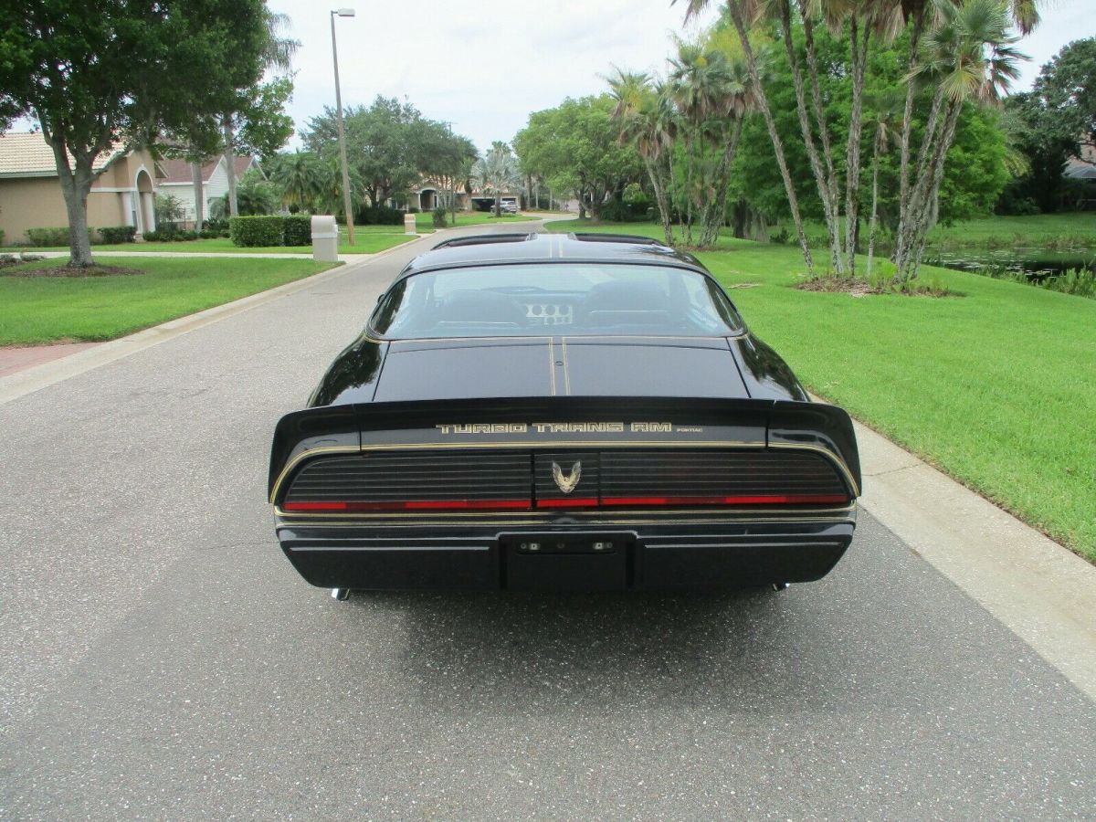 1981 Pontiac Trans Am turbo trans am - photo 10