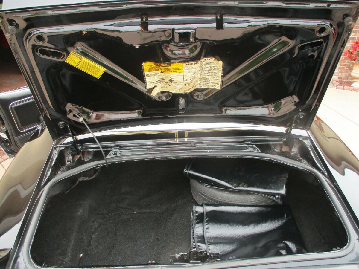 1981 Pontiac Trans Am turbo trans am - photo 11