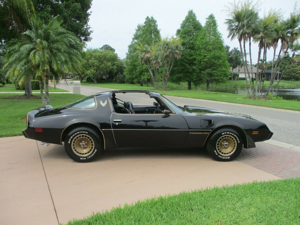 1981 Pontiac Trans Am turbo trans am - photo 12