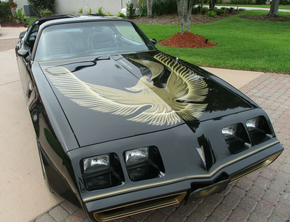 1981 Pontiac Trans Am turbo trans am - photo 13