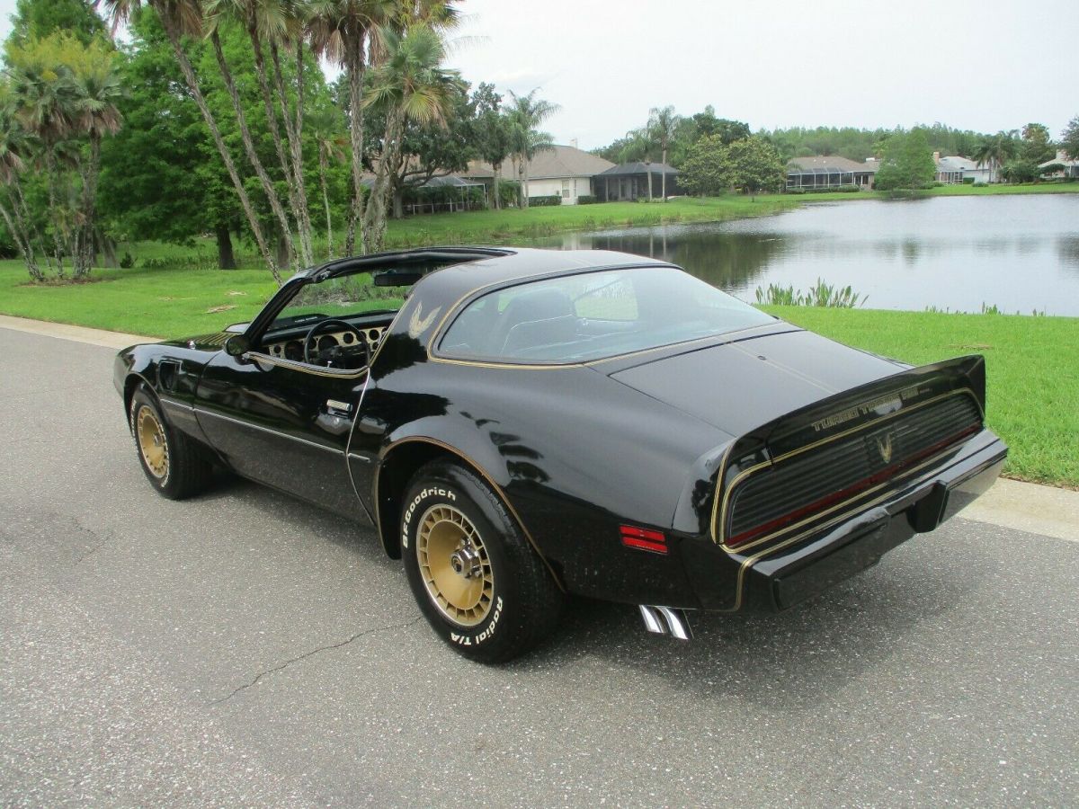 1981 Pontiac Trans Am turbo trans am - photo 2
