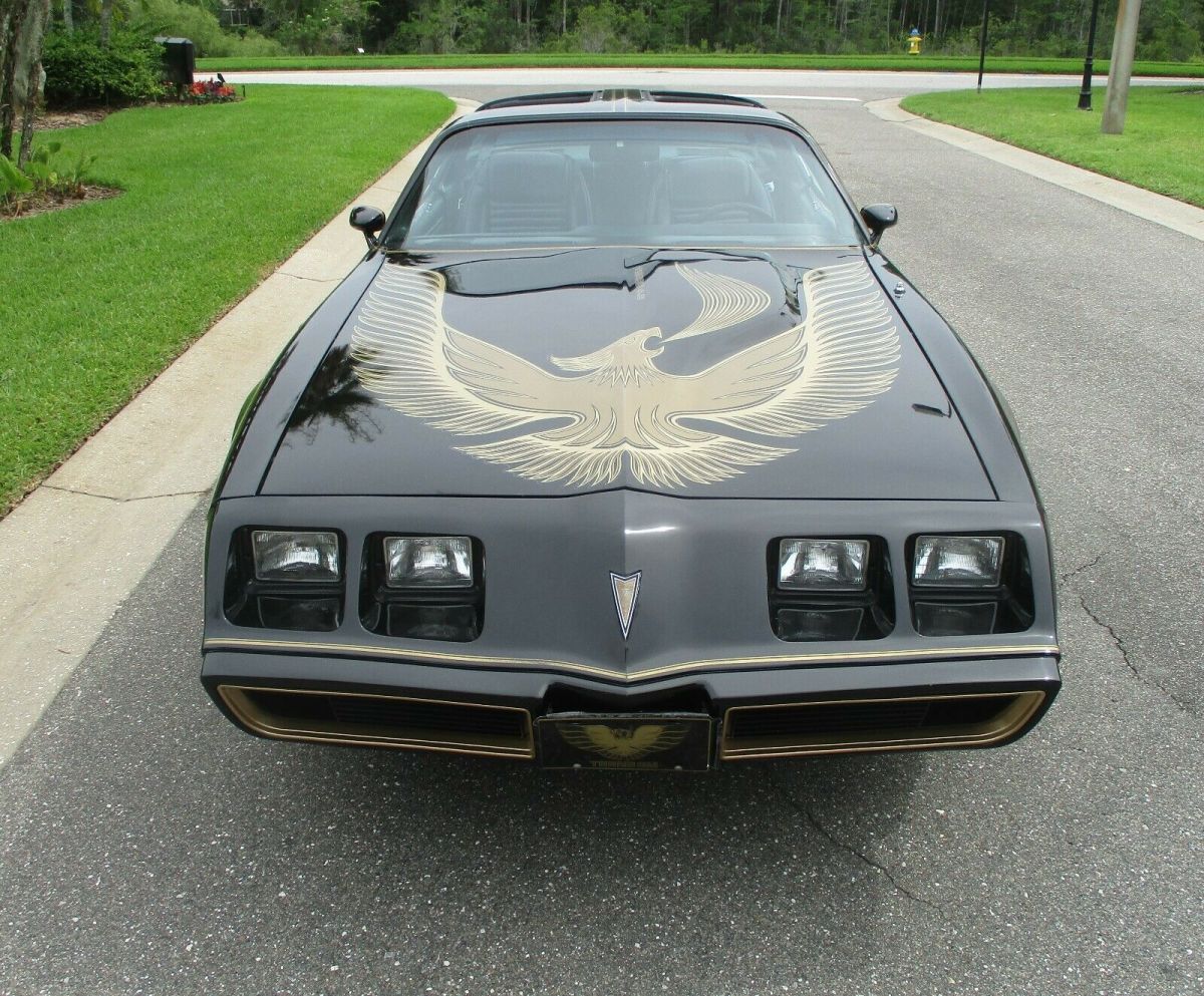 1981 Pontiac Trans Am turbo trans am - photo 3