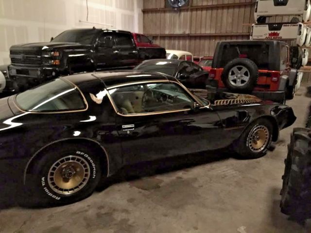 1981 Pontiac Trans Am FULL DECAL - photo 6