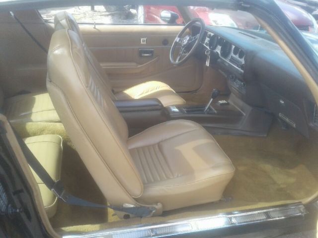 1981 Pontiac Trans Am FULL DECAL - photo 8