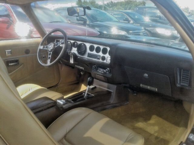 1981 Pontiac Trans Am FULL DECAL - photo 9