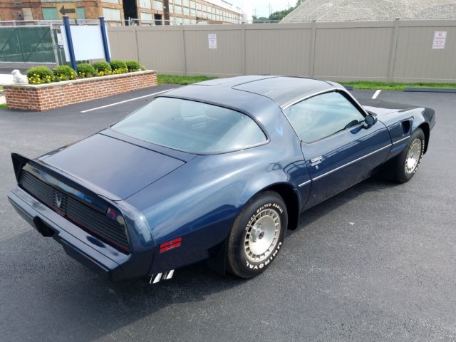 1981 Pontiac Trans Am T/A - photo 10