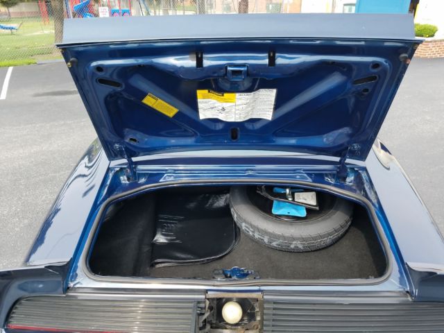 1981 Pontiac Trans Am T/A - photo 11