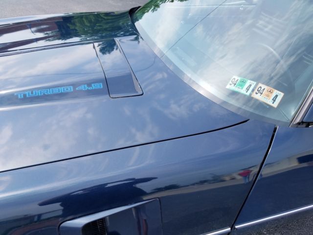 1981 Pontiac Trans Am T/A - photo 7