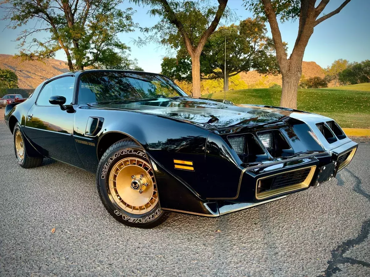 1981 TURBO TRANS-AM GREAT SHAPE SURVIVOR 69K MILES 1981 Pontiac Firebird