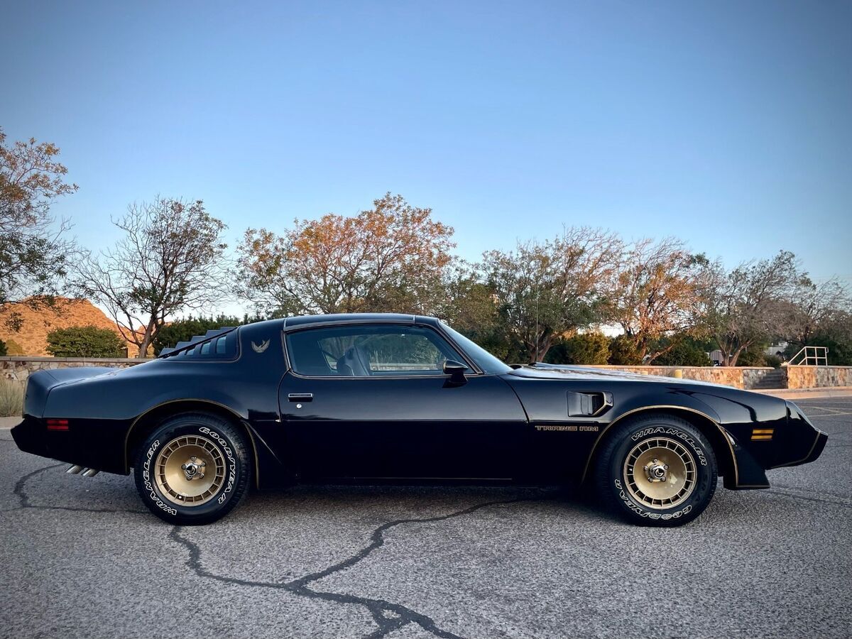 1981 Pontiac Firebird - photo 2