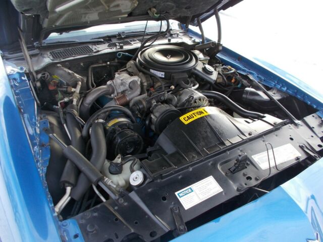 1981 Pontiac Trans Am TURBO TRANS AM - photo 8