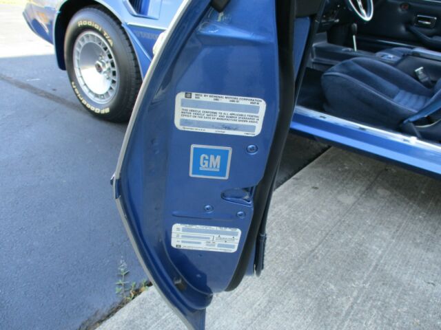 1981 Pontiac Trans Am TURBO TRANS AM - photo 12