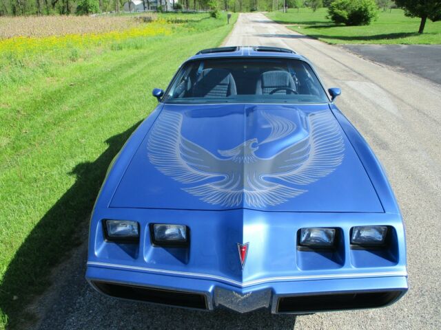 1981 Pontiac Trans Am TURBO TRANS AM - photo 3