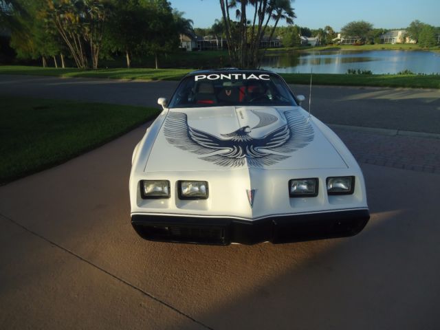 1981 Pontiac Trans Am NASCAR - photo 13