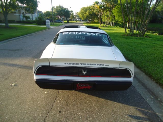 1981 Pontiac Trans Am NASCAR - photo 9