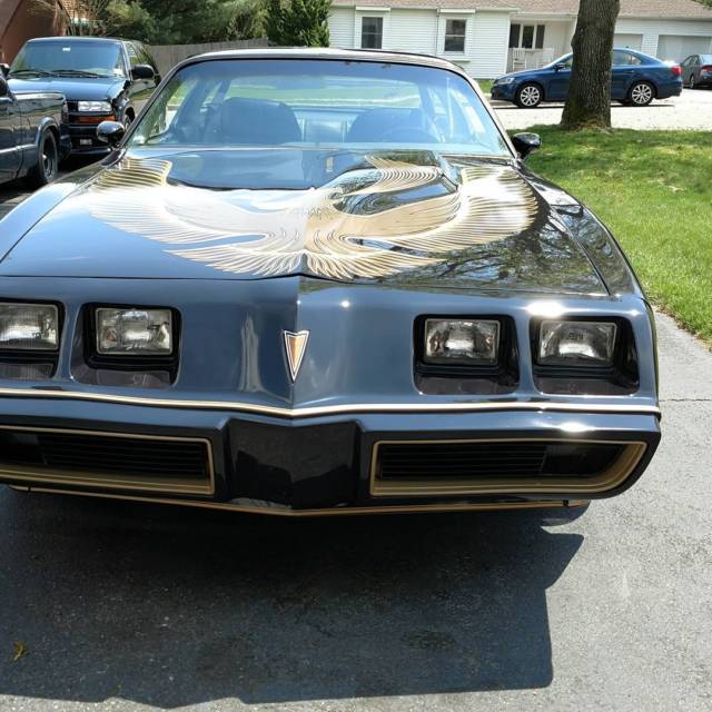 1981 Pontiac Trans Am S/e