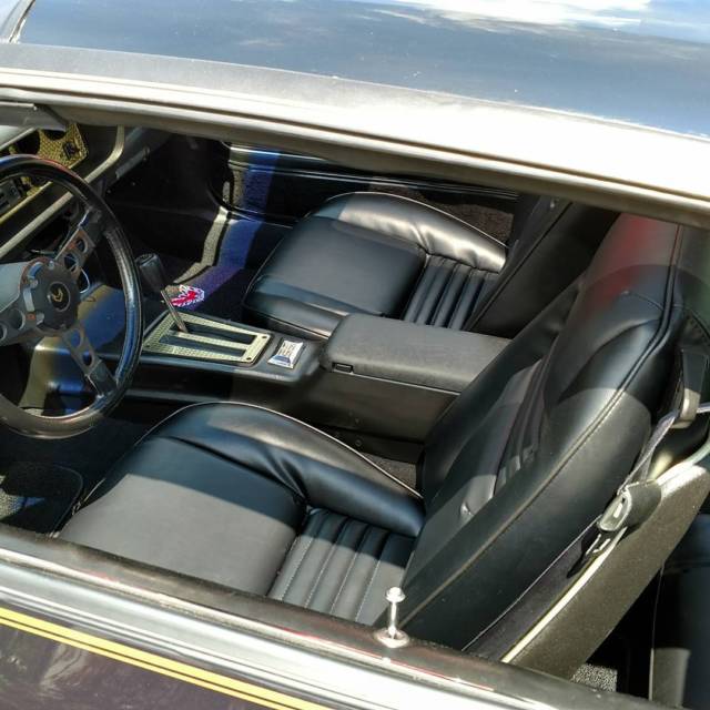 1981 Pontiac Trans Am S/e - photo 5