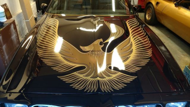 1981 Pontiac Trans Am S/e - photo 6