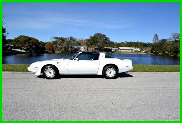 1981 TURBO Used Turbo 4.9L V8 16V Automatic RWD 1981 Pontiac Firebird TURBO