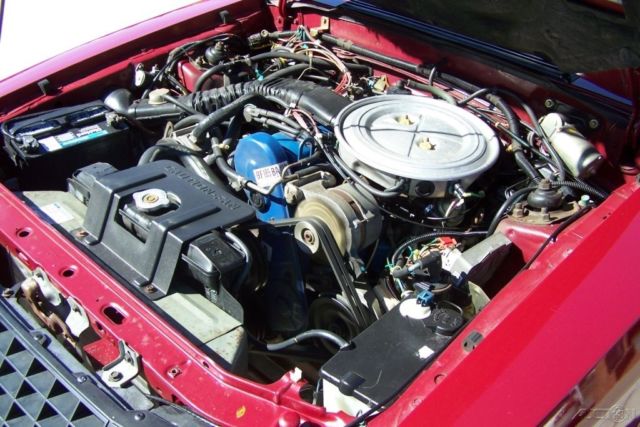 1981 Ford Mustang Ghia Hatchback 2-Door - photo 11