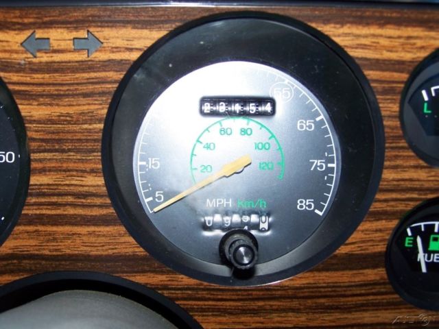 1981 Ford Mustang Ghia Hatchback 2-Door - photo 5