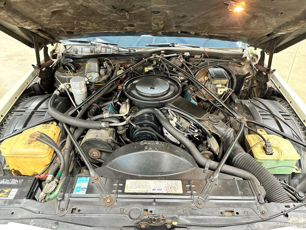 1981 Cadillac DeVille - photo 12