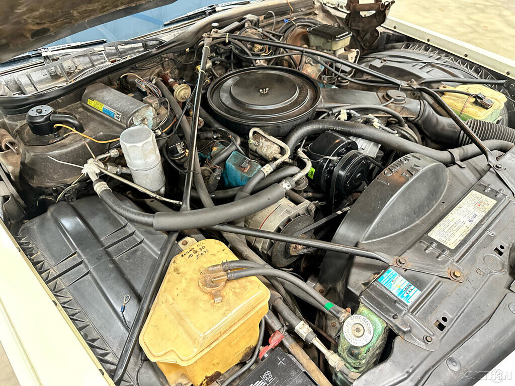 1981 Cadillac DeVille - photo 13