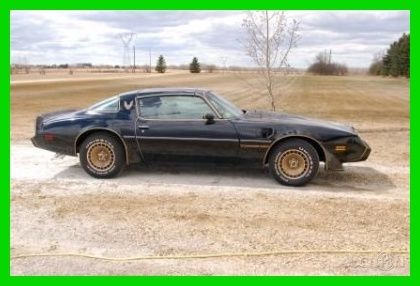 1981 Used Automatic Coupe 1981 Pontiac Trans Am