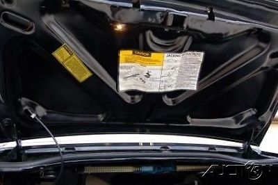 1981 Pontiac Trans Am - photo 12