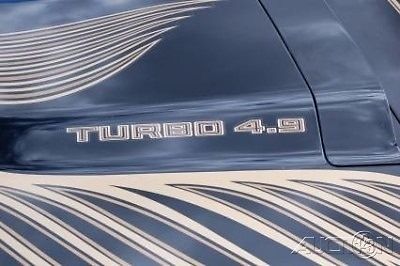 1981 Pontiac Trans Am - photo 5