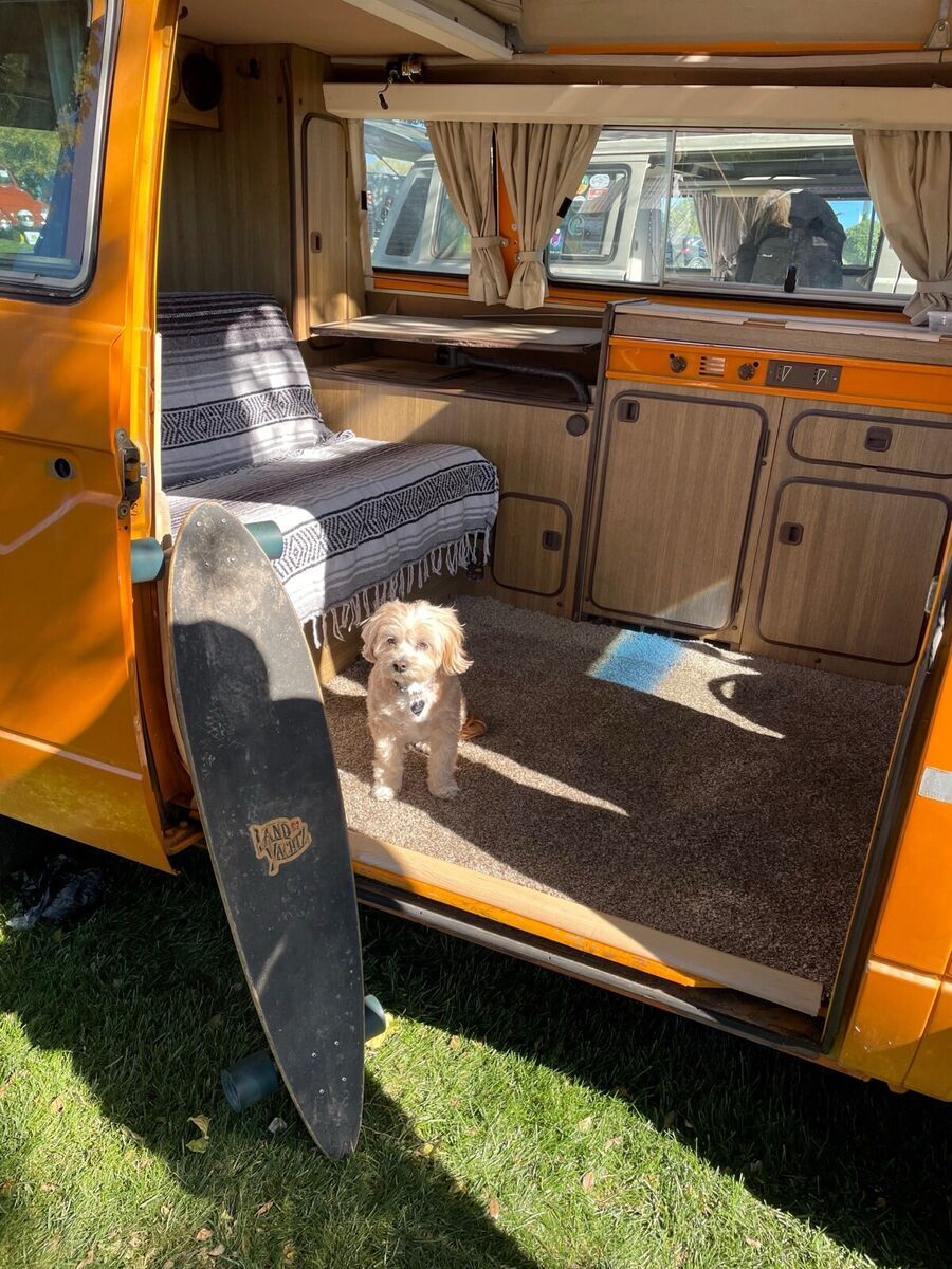 1981 Volkswagen Vanagon CAMPER WESTFALIA - photo 5