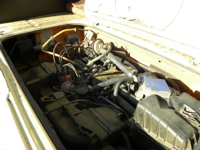 1981 Volkswagen Bus/Vanagon - photo 13