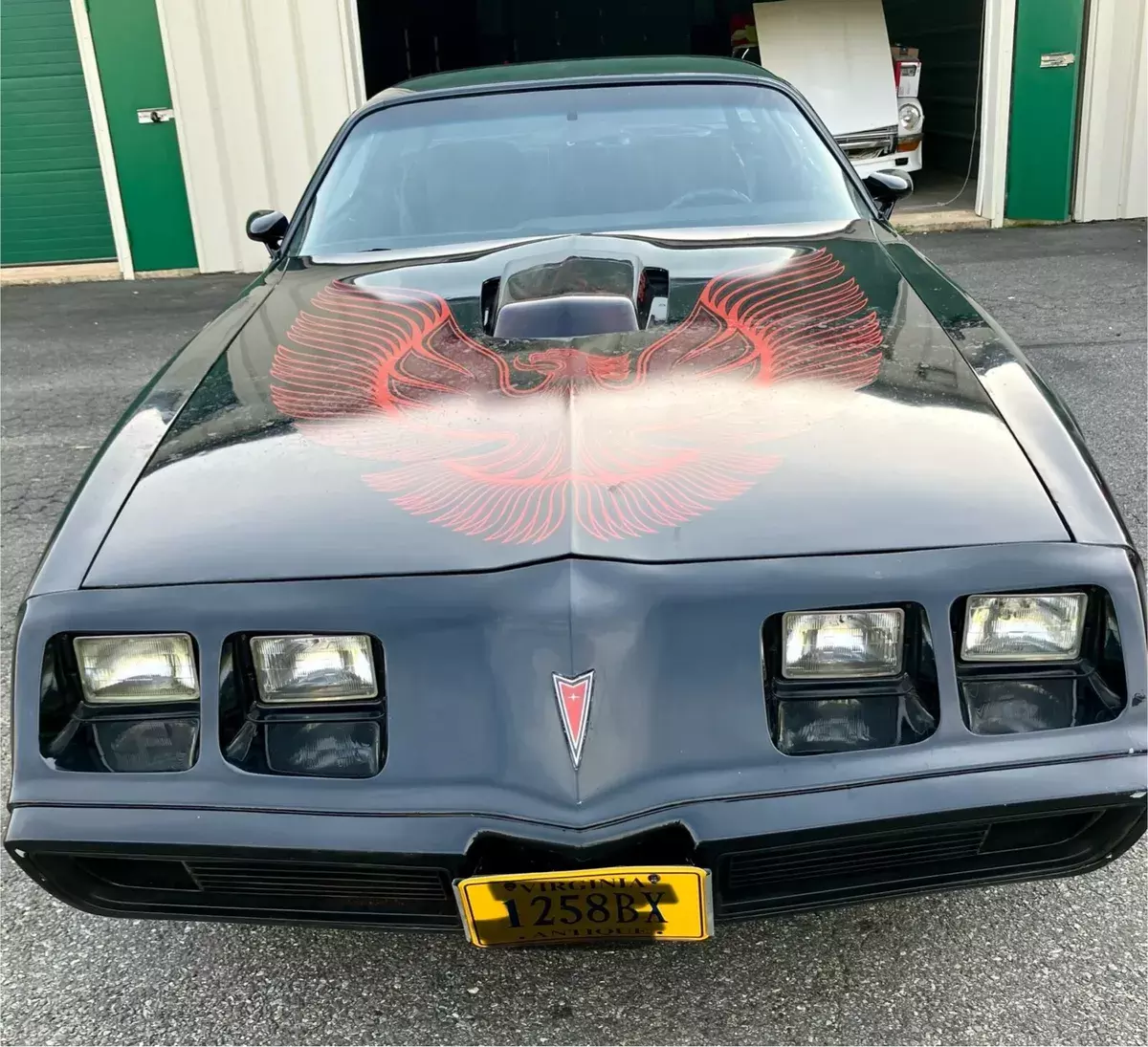 1981 WS6 Pontiac Trans Am 383/450 hp disc brakes sway bars 1981 Pontiac Trans Am