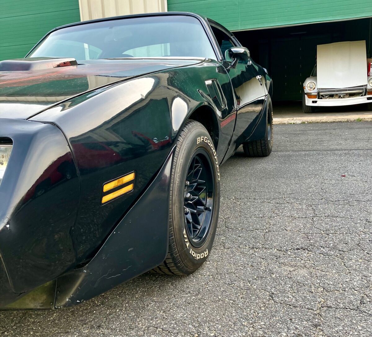1981 Pontiac Trans Am - photo 13