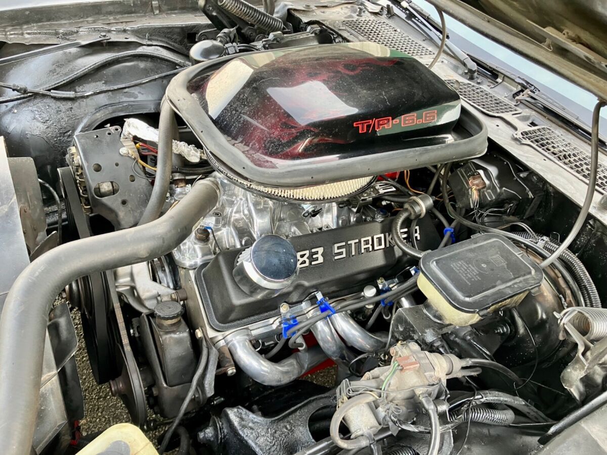 1981 Pontiac Trans Am - photo 6