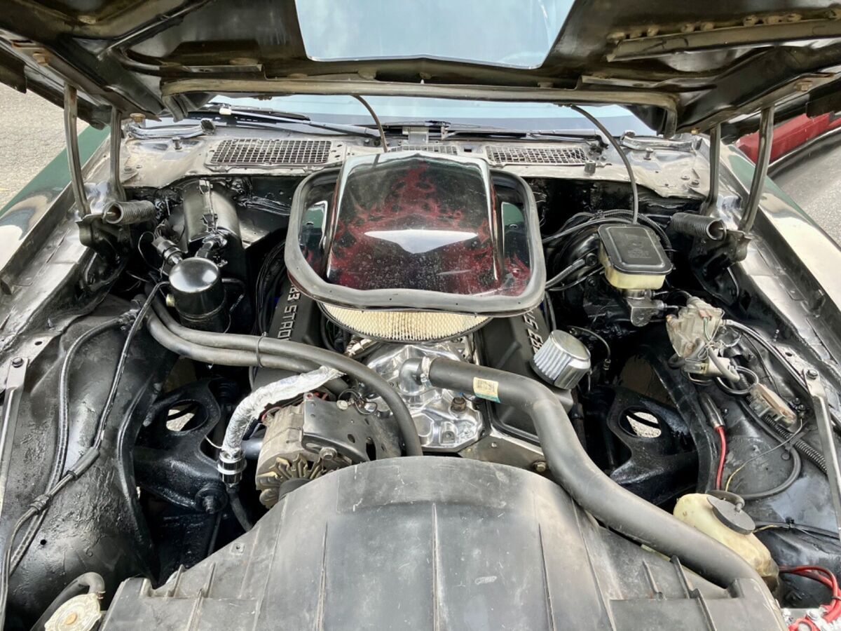 1981 Pontiac Trans Am - photo 7