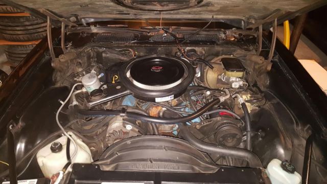 1981 Chevrolet Camaro Z28