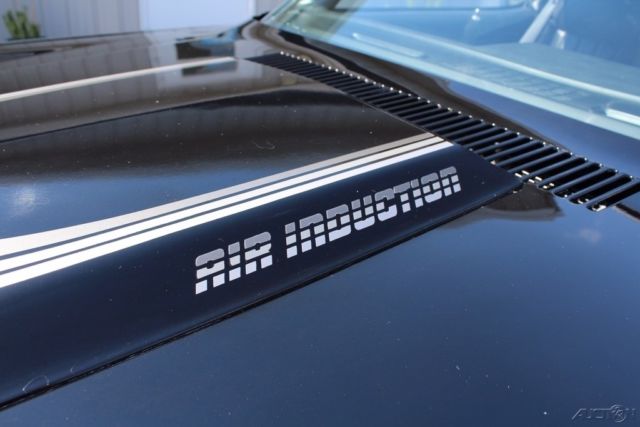 1981 Chevrolet Camaro Z28 2dr Coupe - photo 12